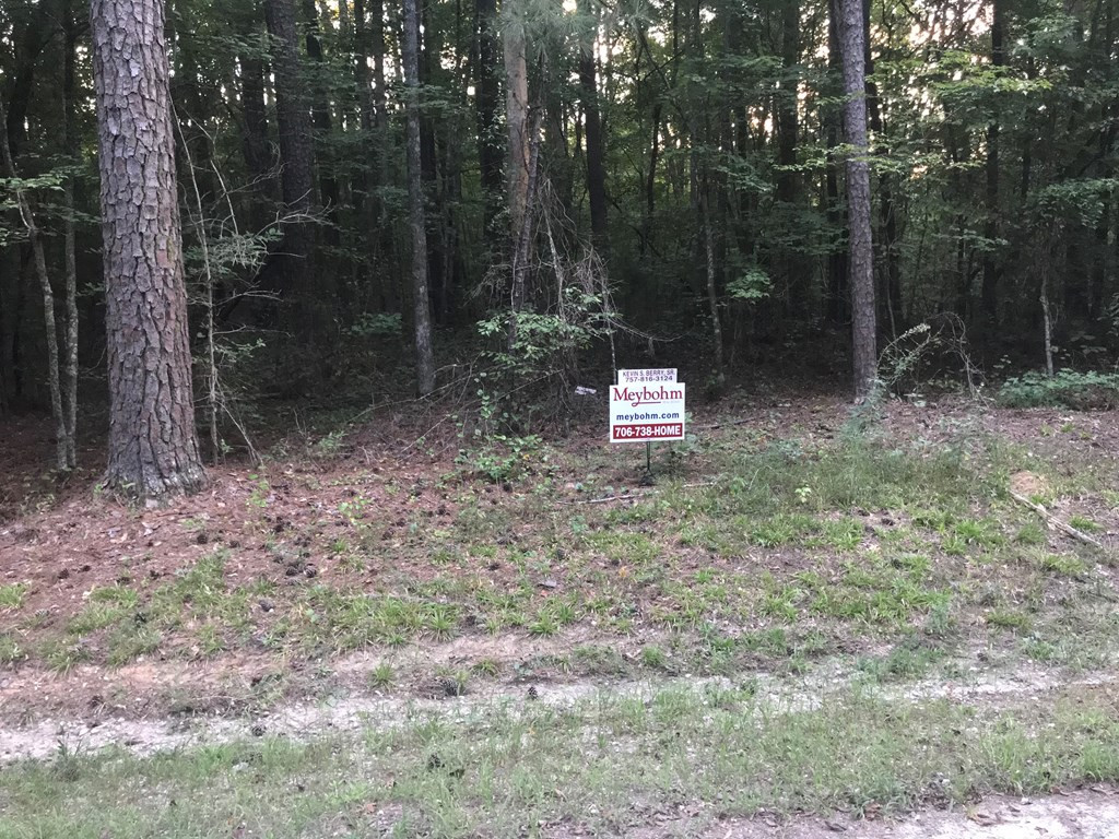 Lot 126 Beaver Road Clarks Hill, SC 29821 - Photo 2 of 4
