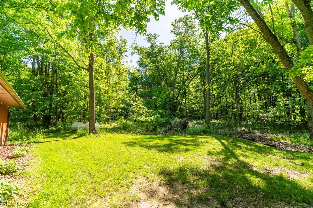 27708 Winona Road Salem, OH 44460 - Photo 32 of 36