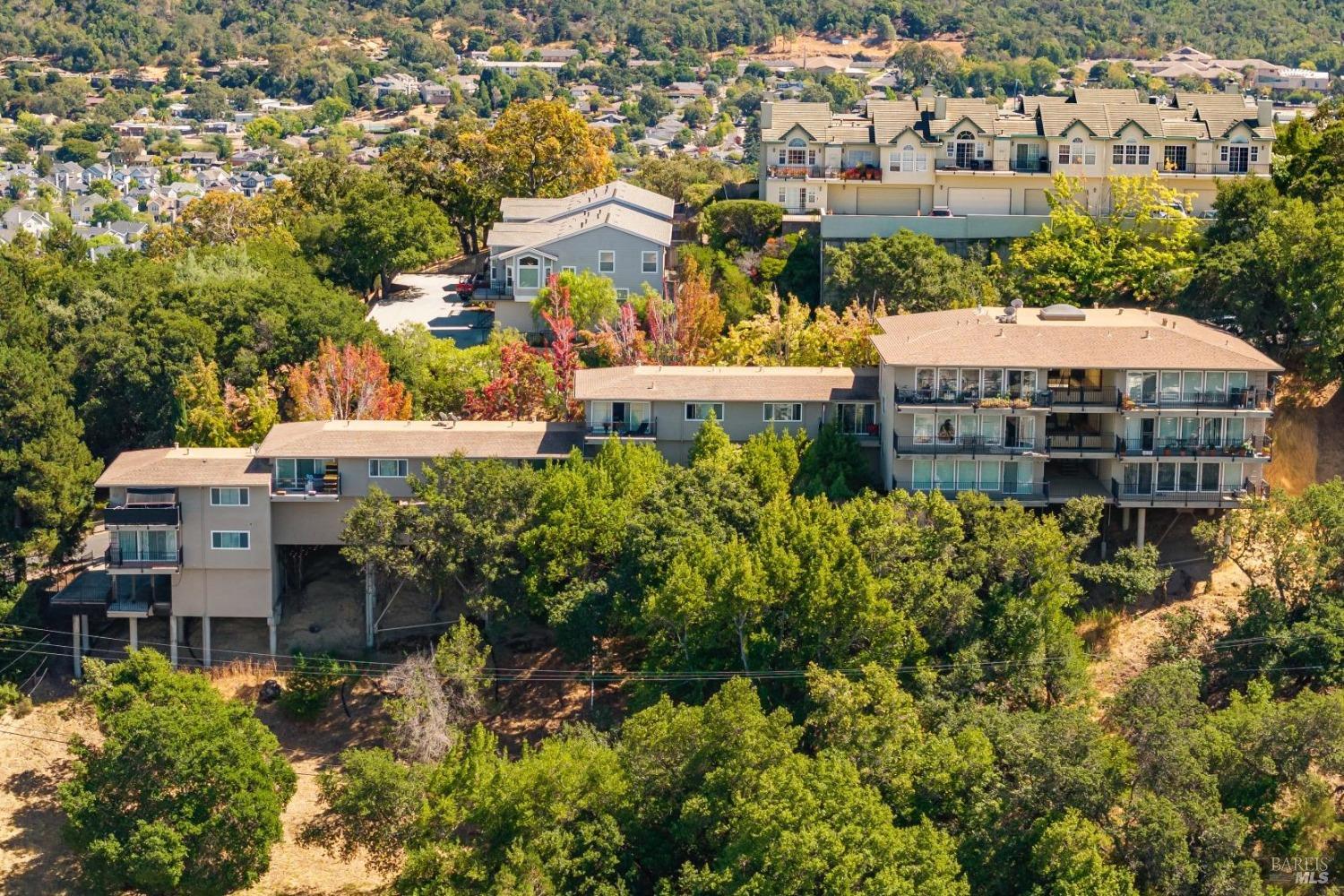 255 Channing Way San Rafael, CA 94903 - Photo 3 of 22