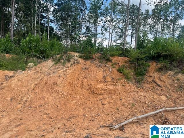 11482 Camp Oliver Road Adger, AL 35006 - Photo 37 of 48