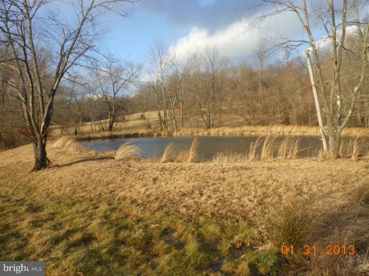 794 Fire Tower Road Birdsboro, PA 19508 - Photo 9 of 10 Gallery Image 9