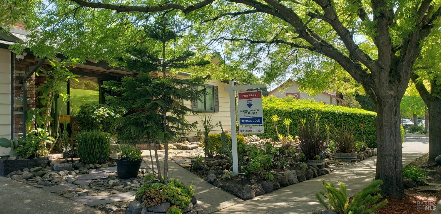 1703 Vallejo Street Santa Rosa, CA 95405 - Photo 1 of 20 a view of a garden