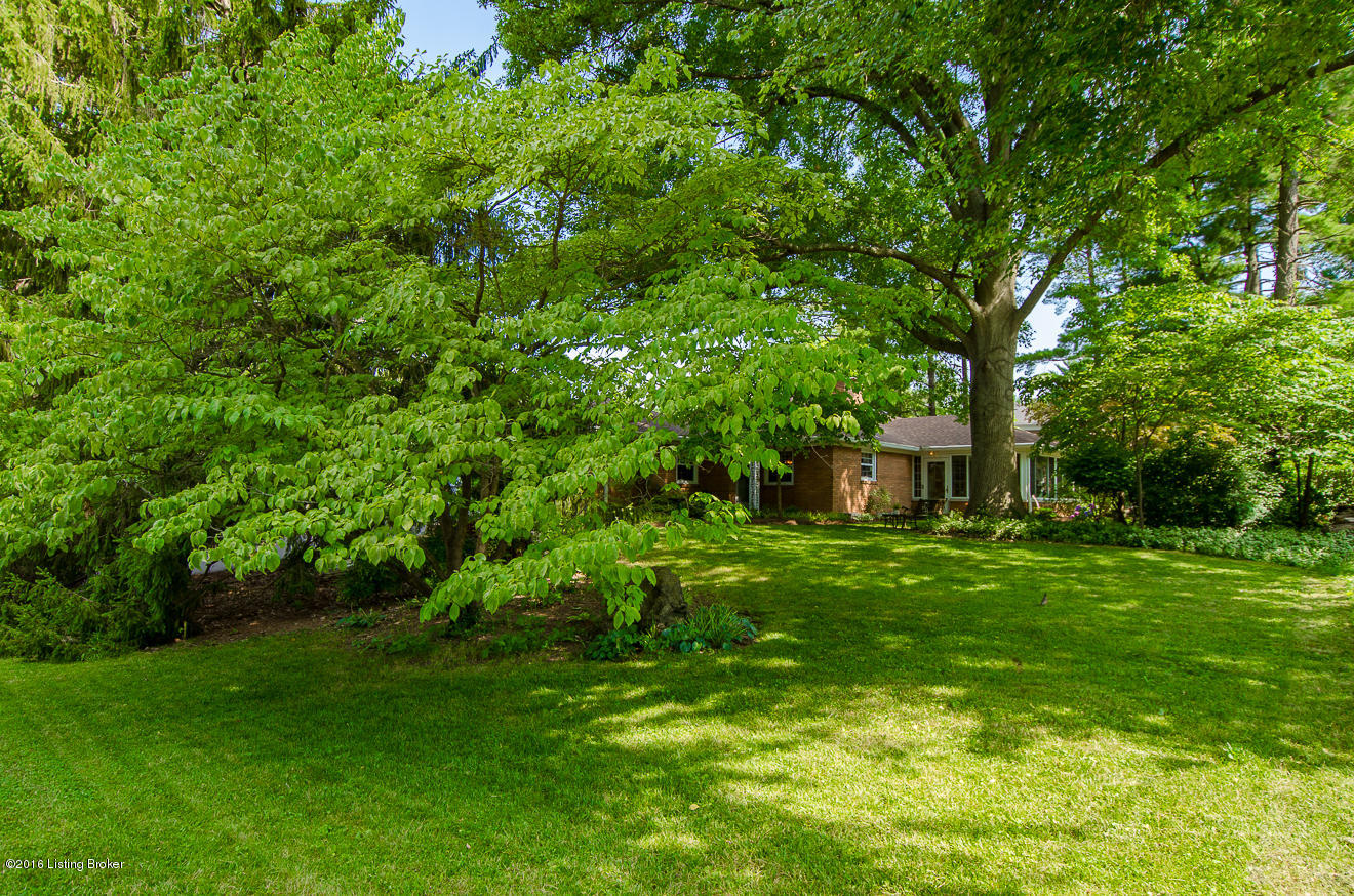 7501 Springvale Drive Louisville, KY 40241 - Photo 43 of 53 Springvale-60