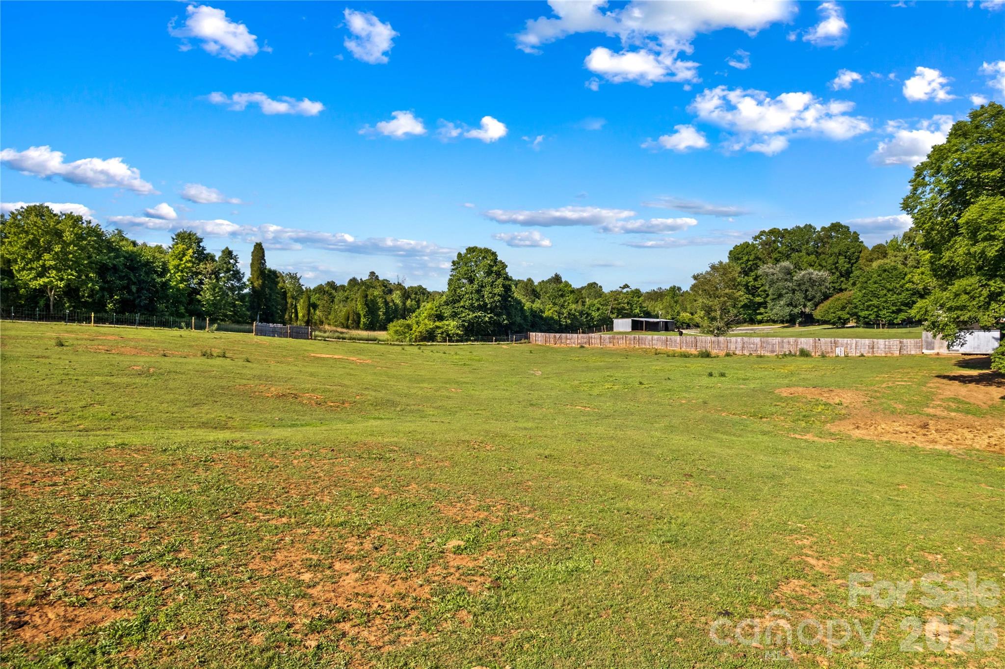 1124 Majolica Road Salisbury, NC 28147 - Photo 9 of 47