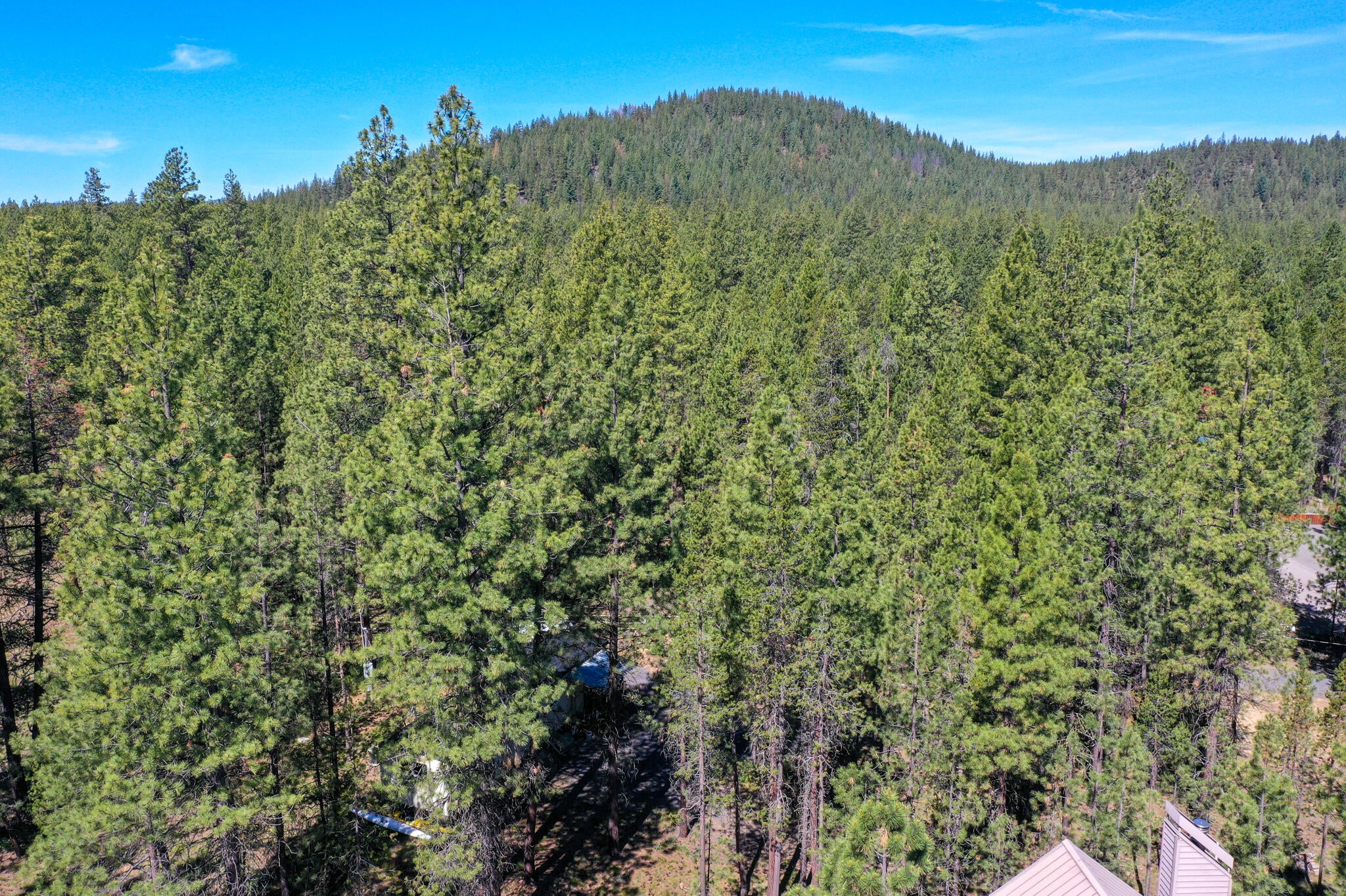 16939 Jacinto Road Bend, OR 97707 - Photo 81 of 83 DJI_0281-2