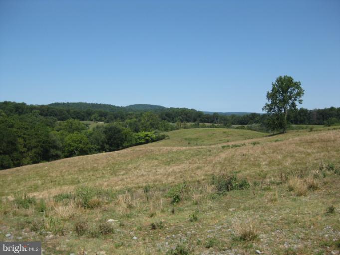 3585 Carrington Road Delaplane, VA 20144 - Photo 14 of 28 Exterior (General)