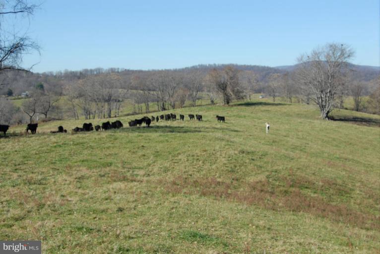 3585 Carrington Road Delaplane, VA 20144 - Photo 8 of 28 View