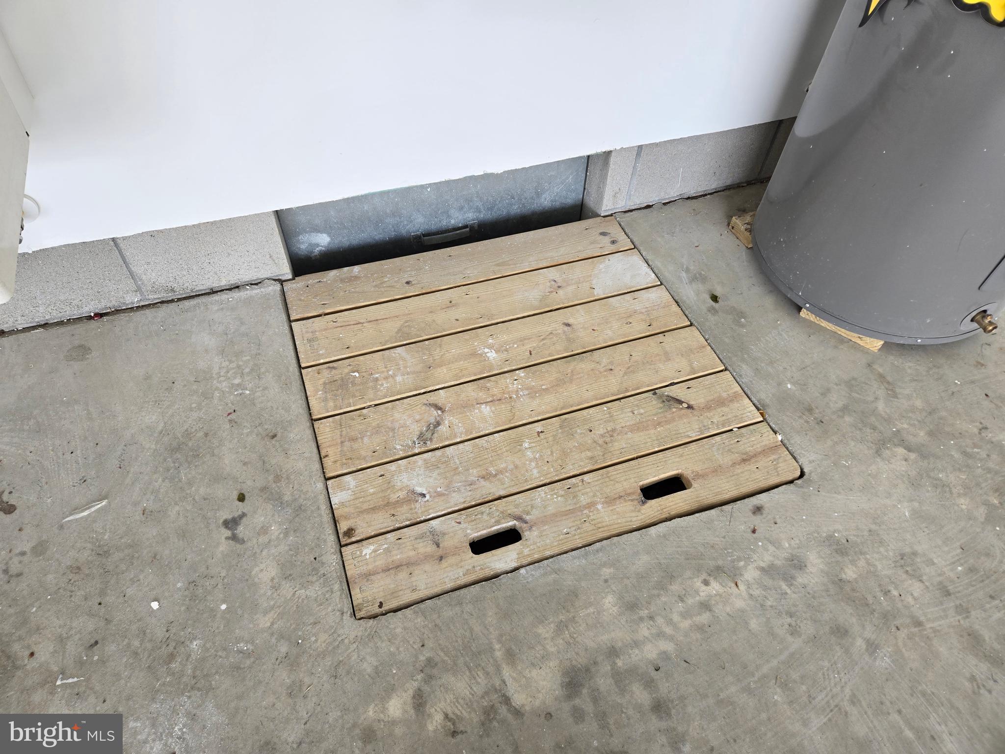 16597 Fitzgeralds Road Lincoln, DE 19960 - Photo 41 of 44 crawl space access in the garage