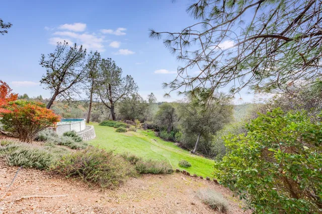 a view of a yard with large trees