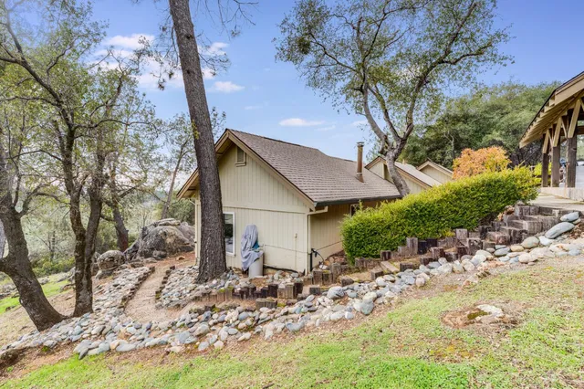 a view of a garden with a tree
