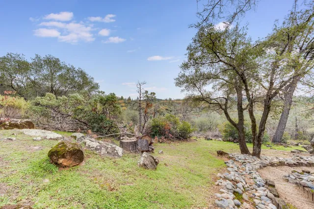a view of a yard with a tree