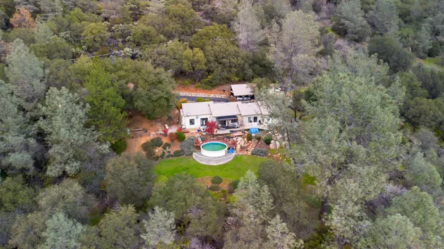 a view of a forest with mountains in the background