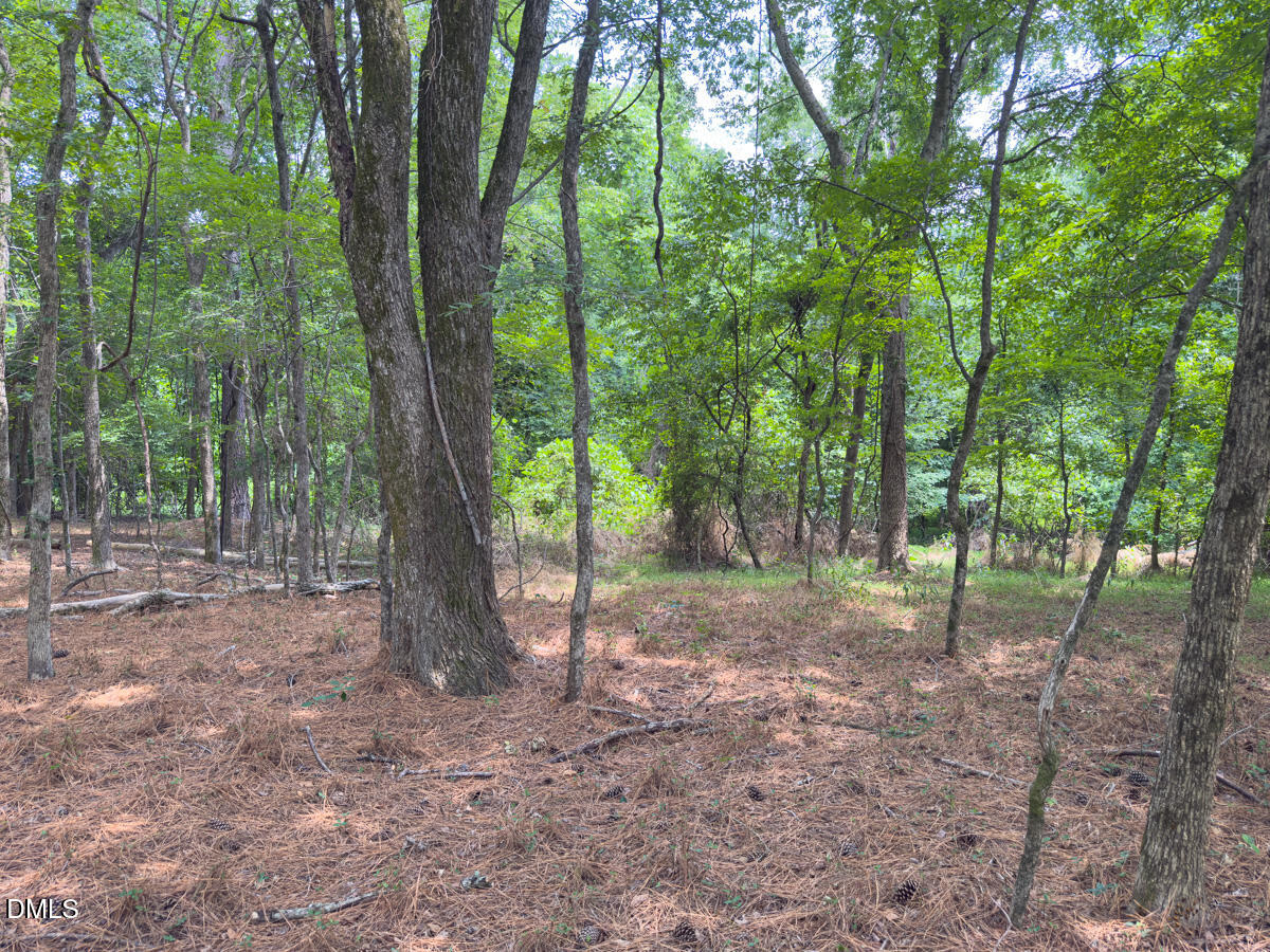 0 Mt Pleasant Church Road Manson, NC 27553 - Photo 37 of 43