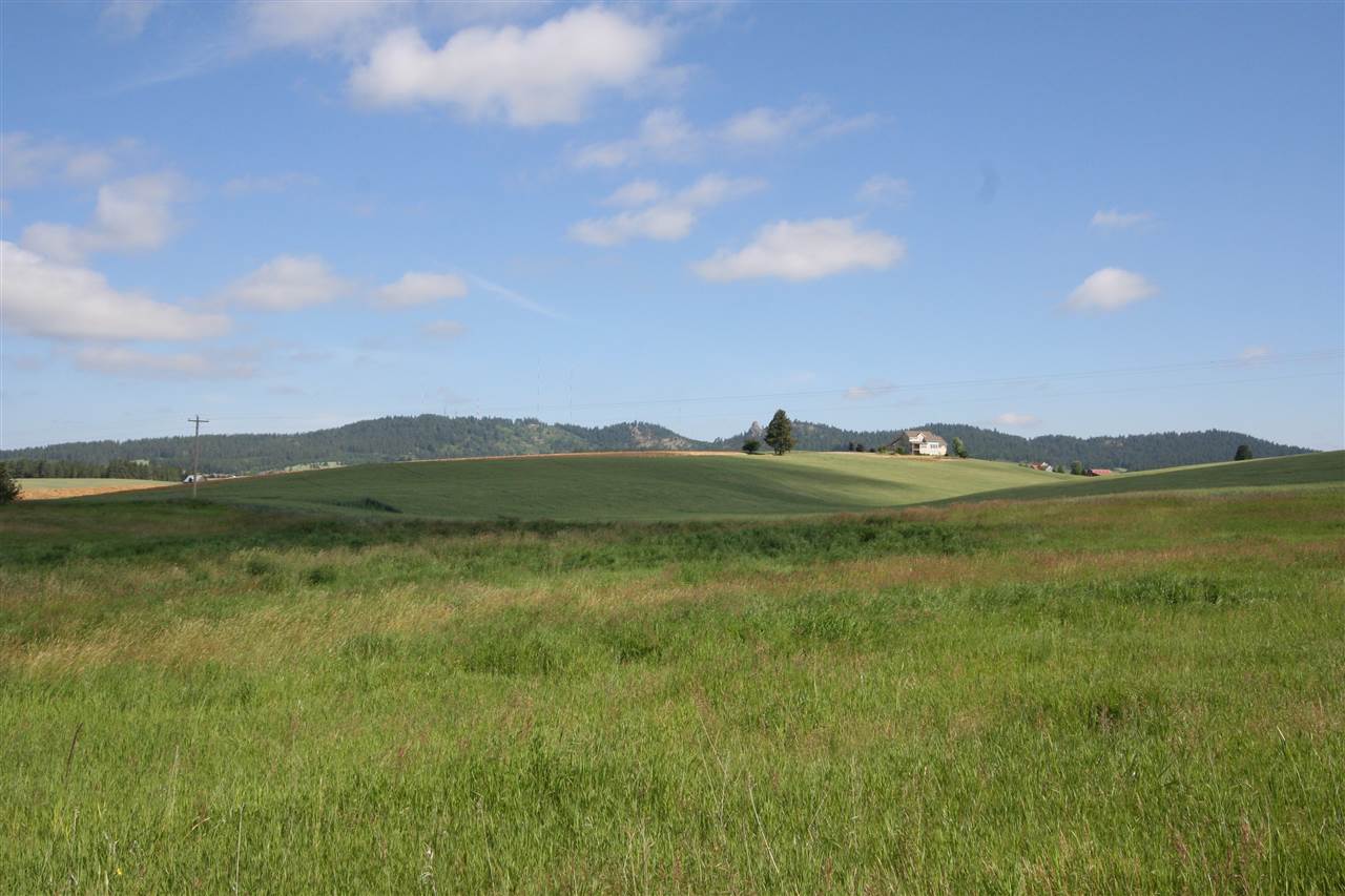 12109 South Bruna Road, Unit A Valleyford, WA 99036 - Photo 11 of 15 Gallery Image 11