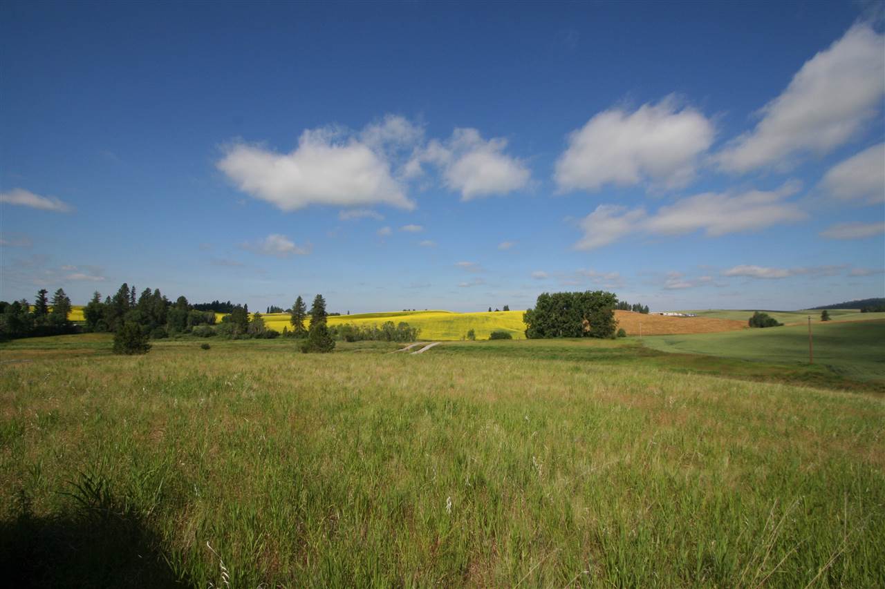 12109 South Bruna Road, Unit A Valleyford, WA 99036 - Photo 13 of 15 Gallery Image 13