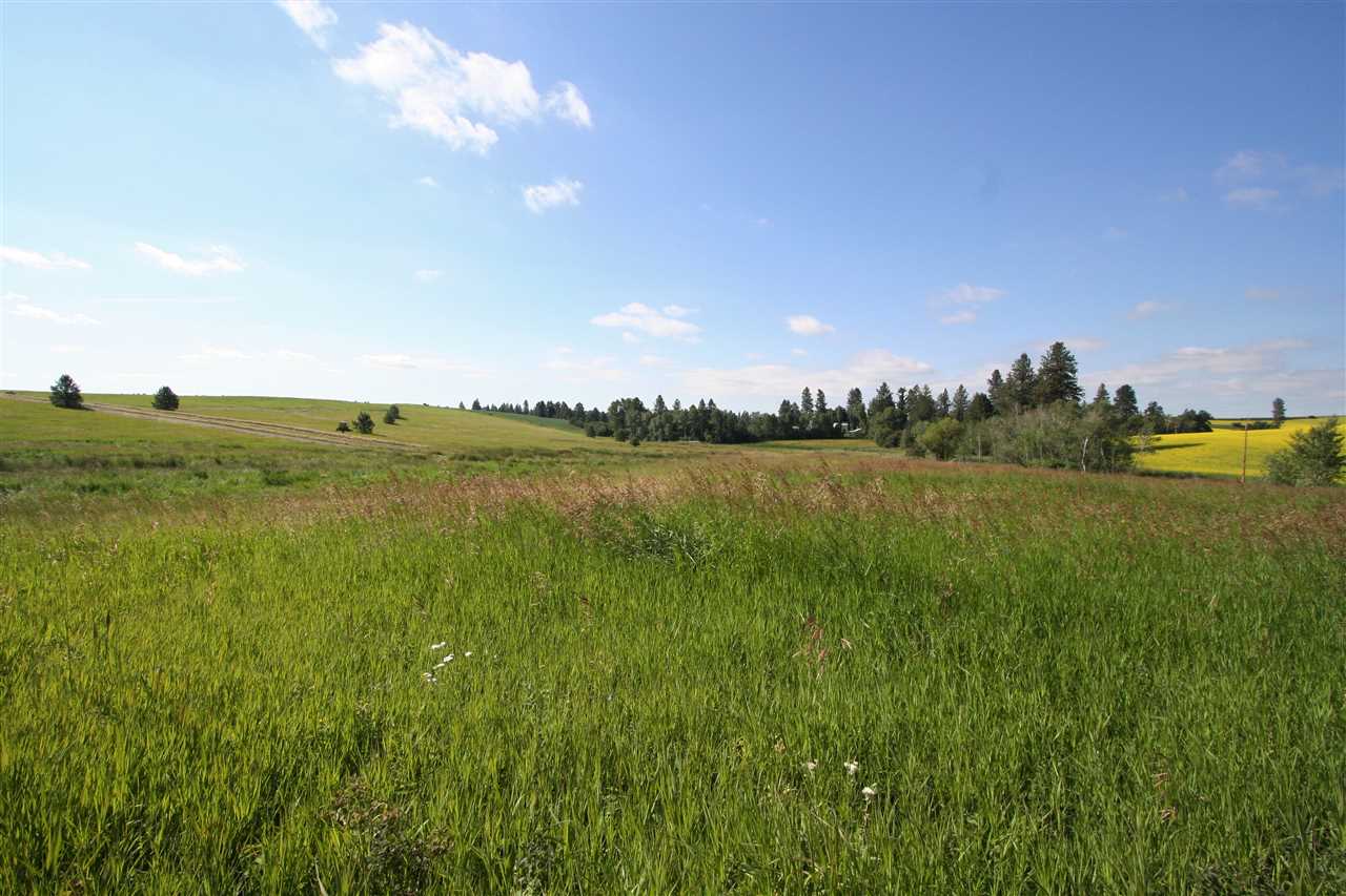 12109 South Bruna Road, Unit A Valleyford, WA 99036 - Photo 7 of 15 Gallery Image 7
