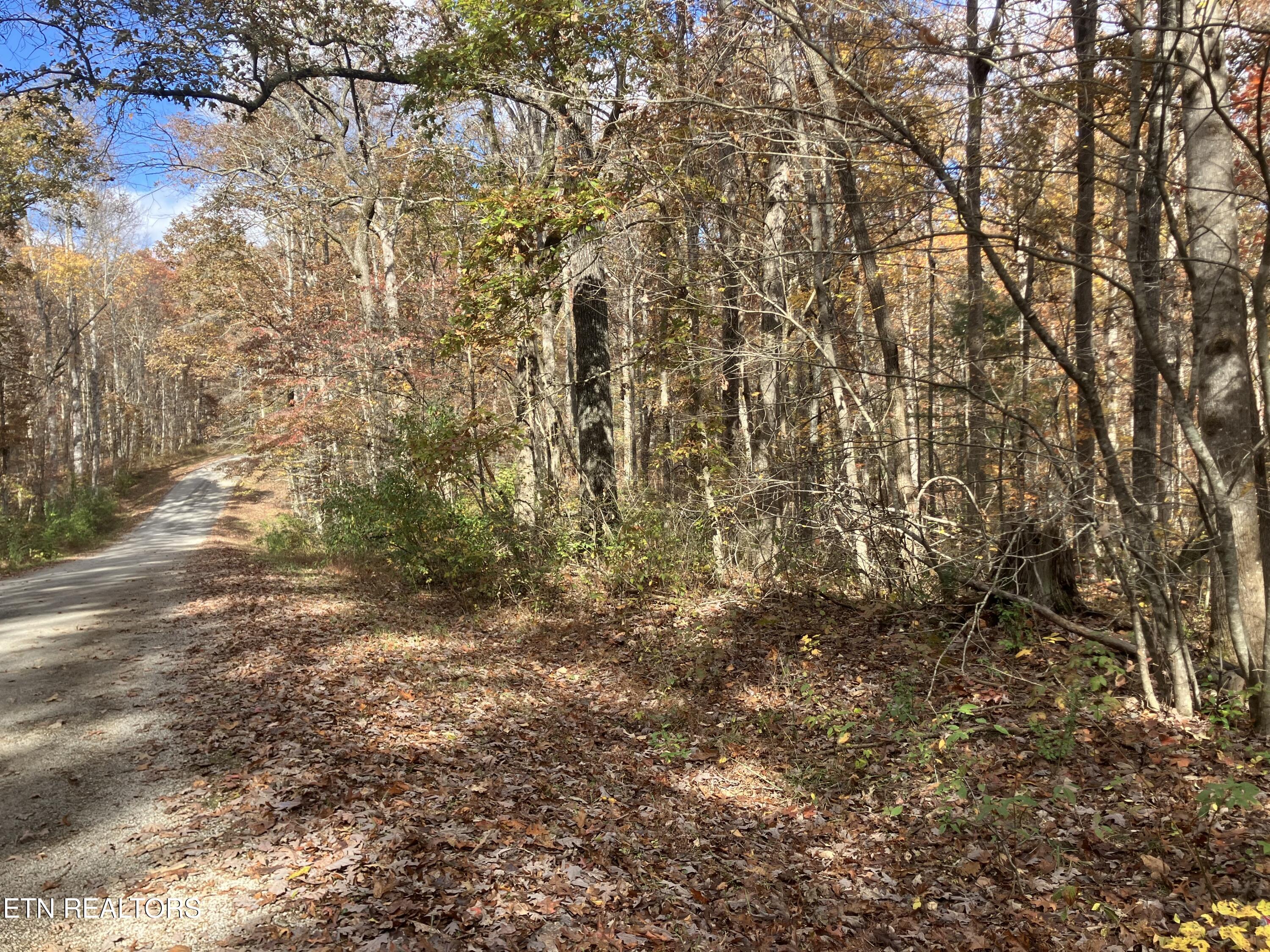 165 Devon Road Crossville, TN 38558 - Photo 4 of 10 IMG_7909