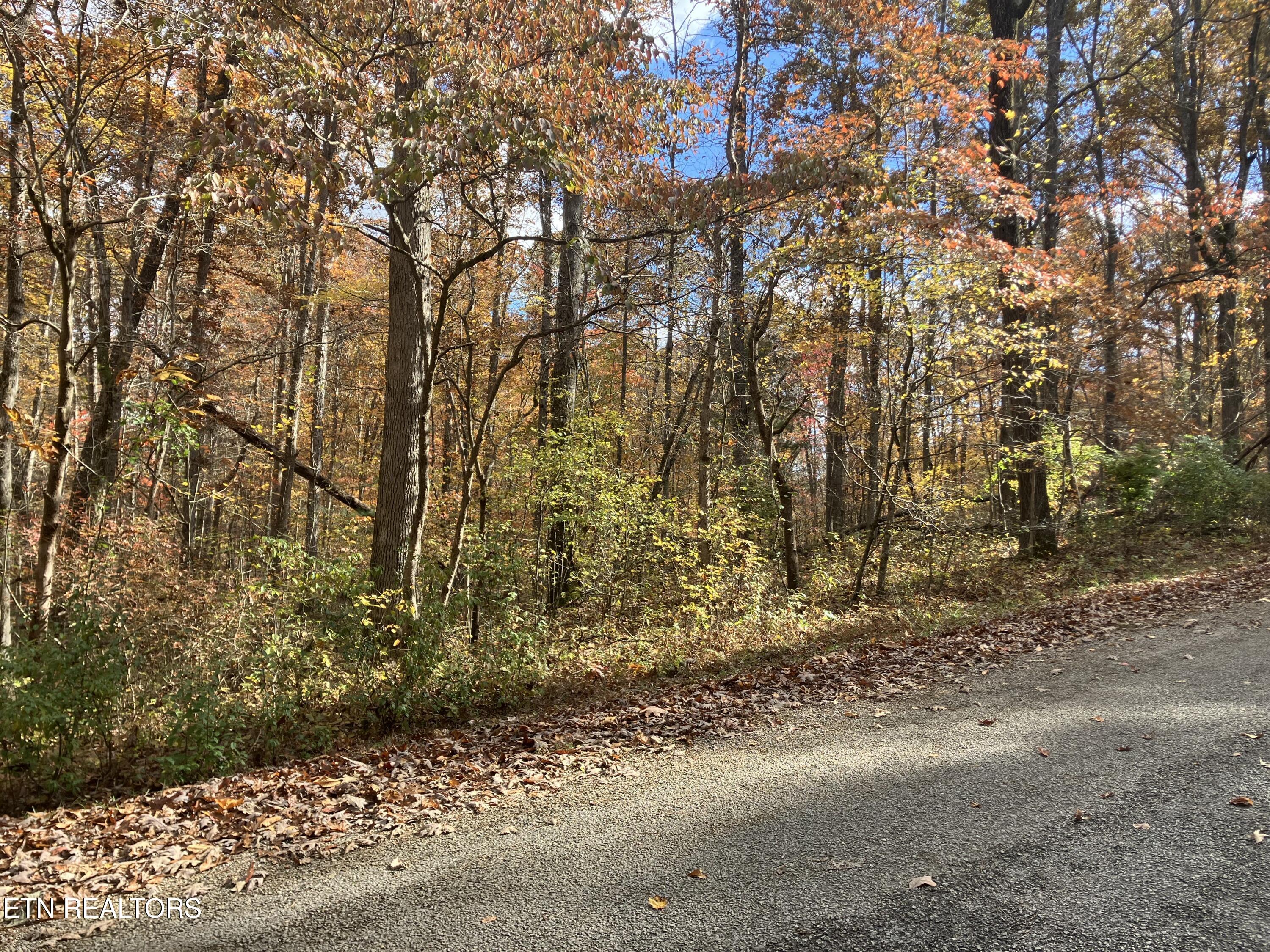 165 Devon Road Crossville, TN 38558 - Photo 5 of 10 IMG_7912