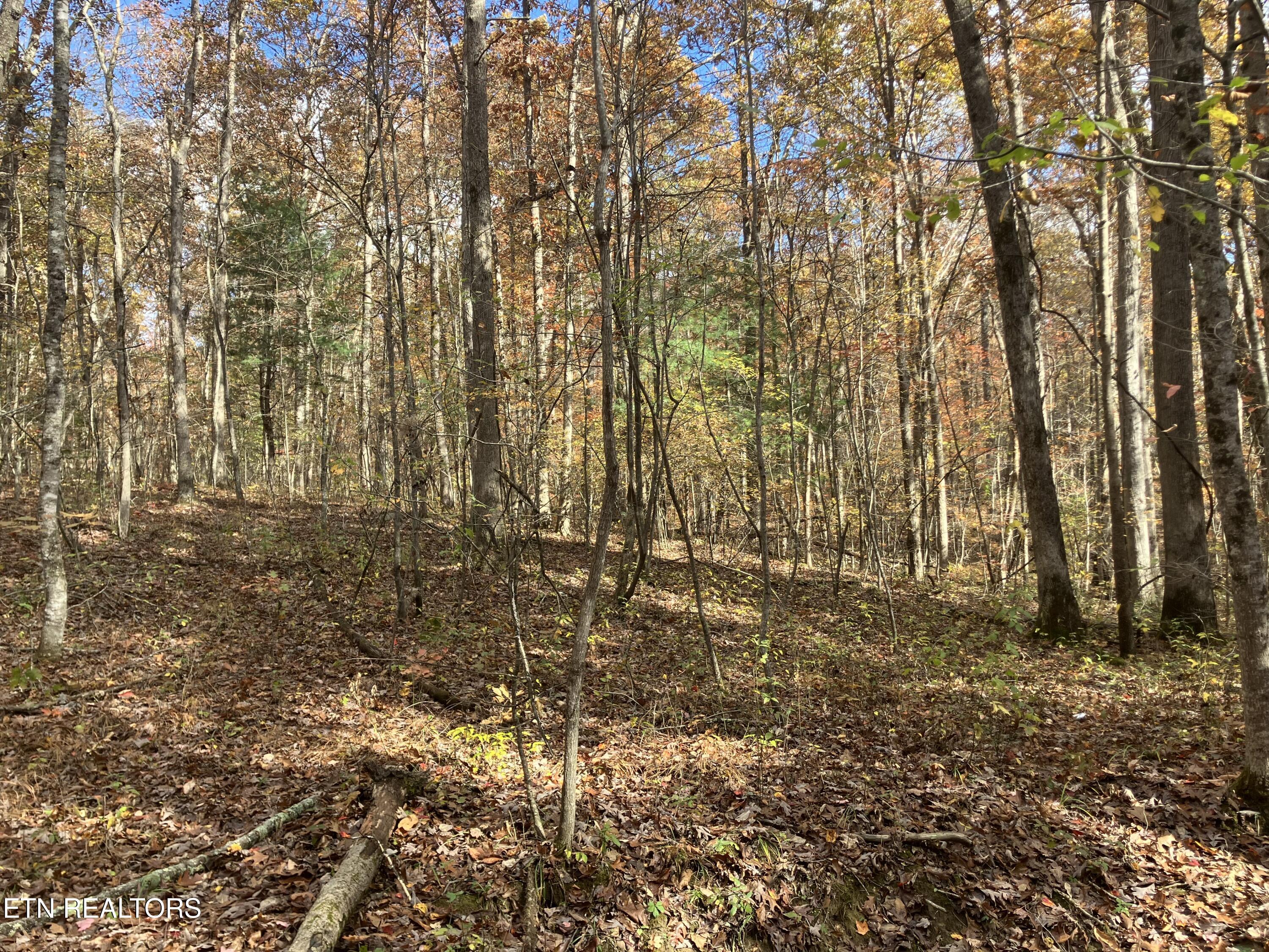 165 Devon Road Crossville, TN 38558 - Photo 6 of 10 IMG_7914