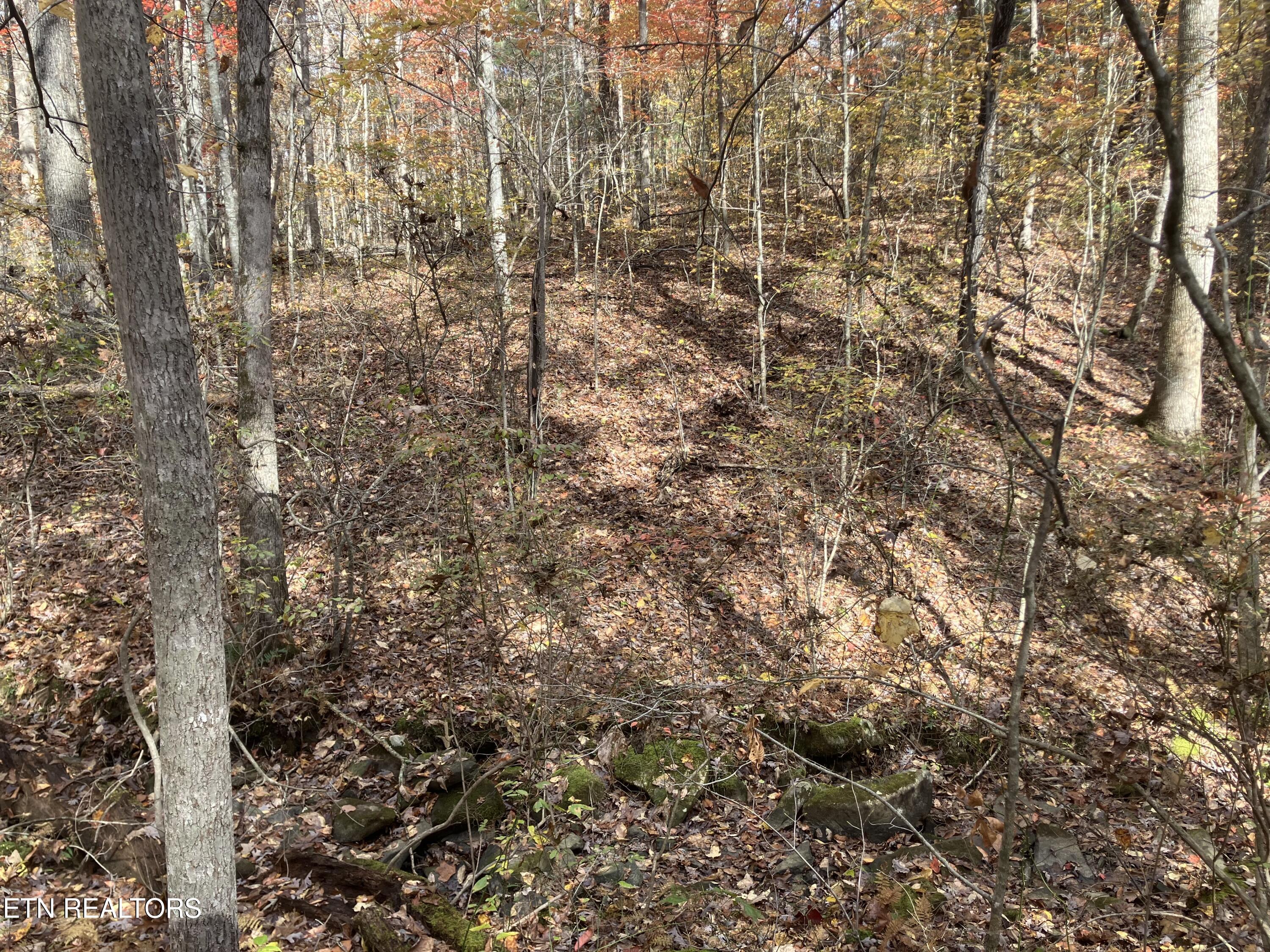 165 Devon Road Crossville, TN 38558 - Photo 7 of 10 IMG_7922