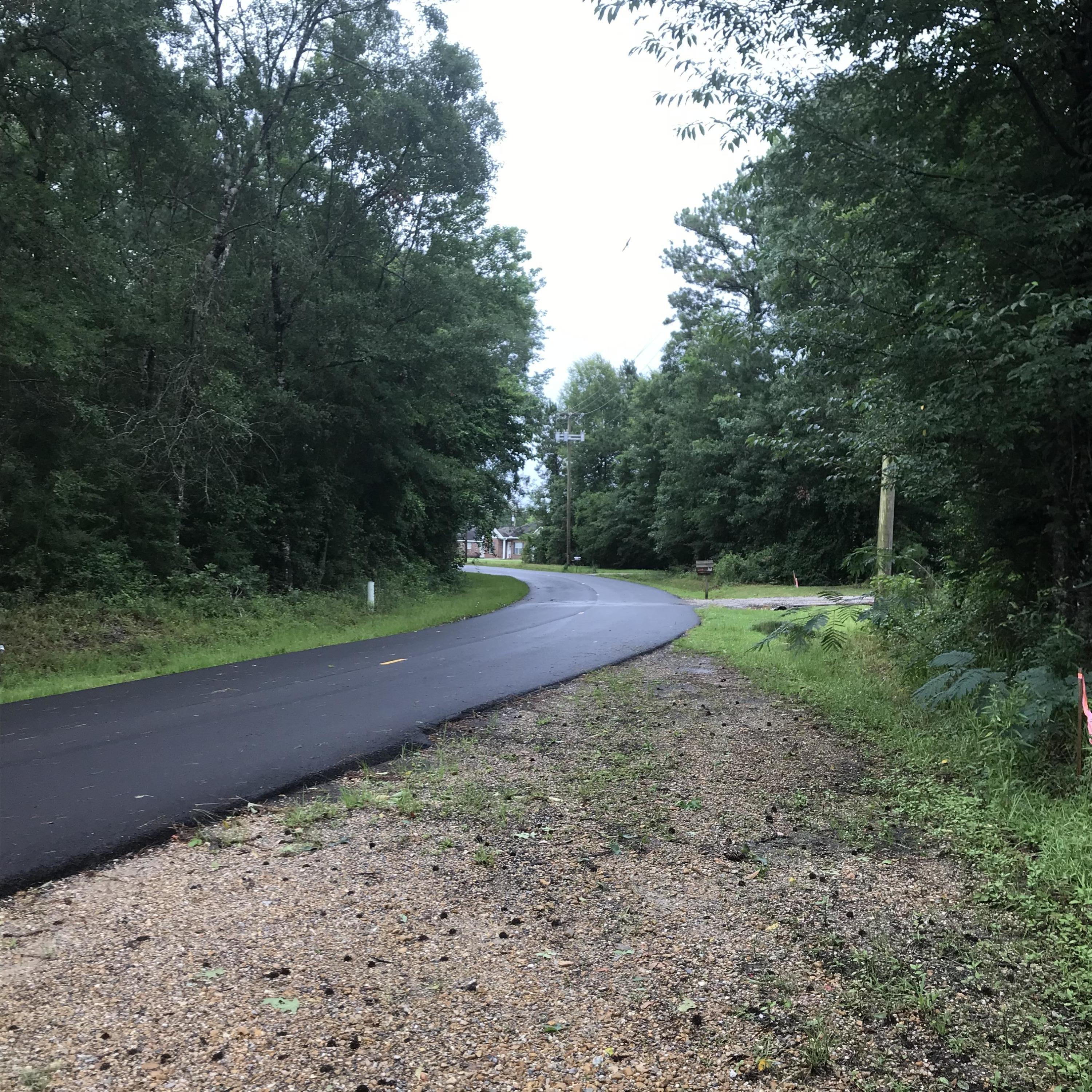 0 Burgetown Road Picayune, MS 39466 - Photo 2 of 3 IMG_1374