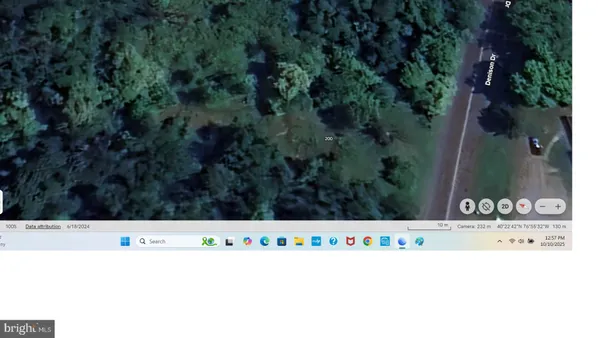 a green field with lots of trees