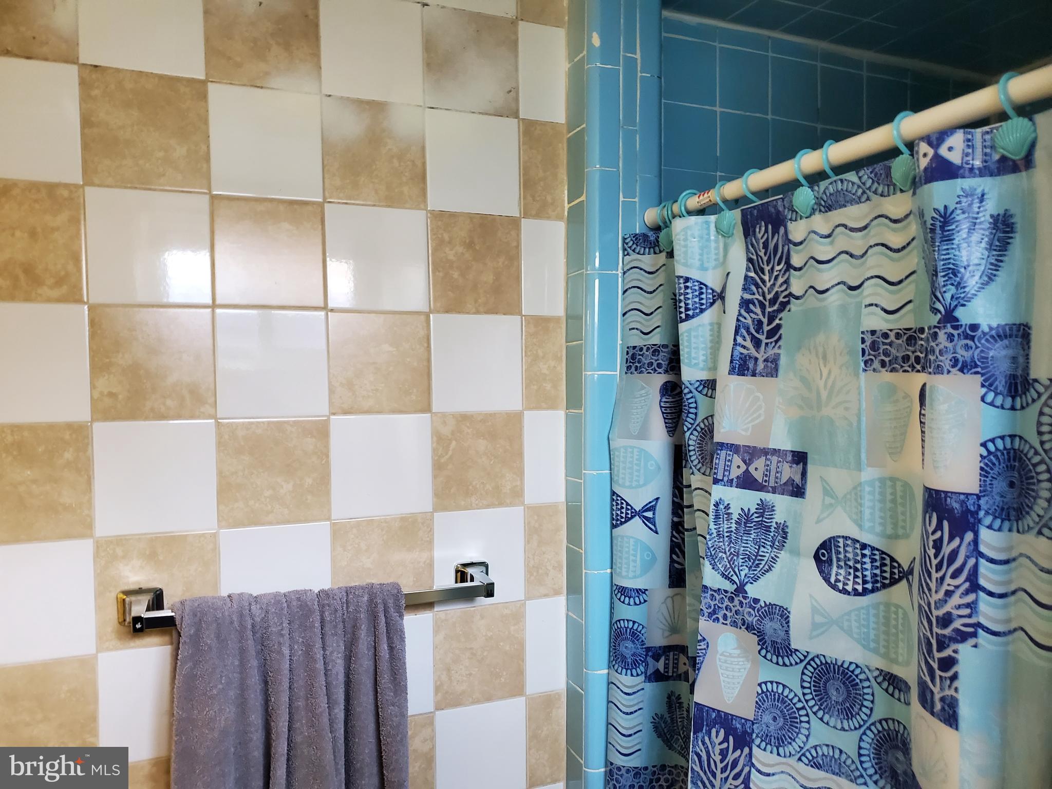 2921 Fenimore Road Silver Spring, MD 20902 - Photo 22 of 46 Shower Lower Level