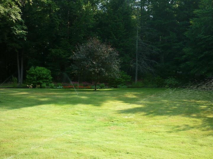 6 Spring Creek Lane Stratham, NH 03885 - Photo 34 of 34 Gallery Image 34