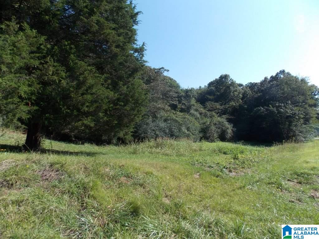 375 Marble Quarry Road, Unit 7 ACRES Talladega, AL 35160 - Photo 1 of 33