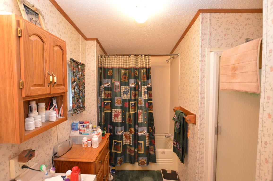 6226 Wallaker Road Benzonia, MI 49616 - Photo 14 of 29 1867142-13.JPG