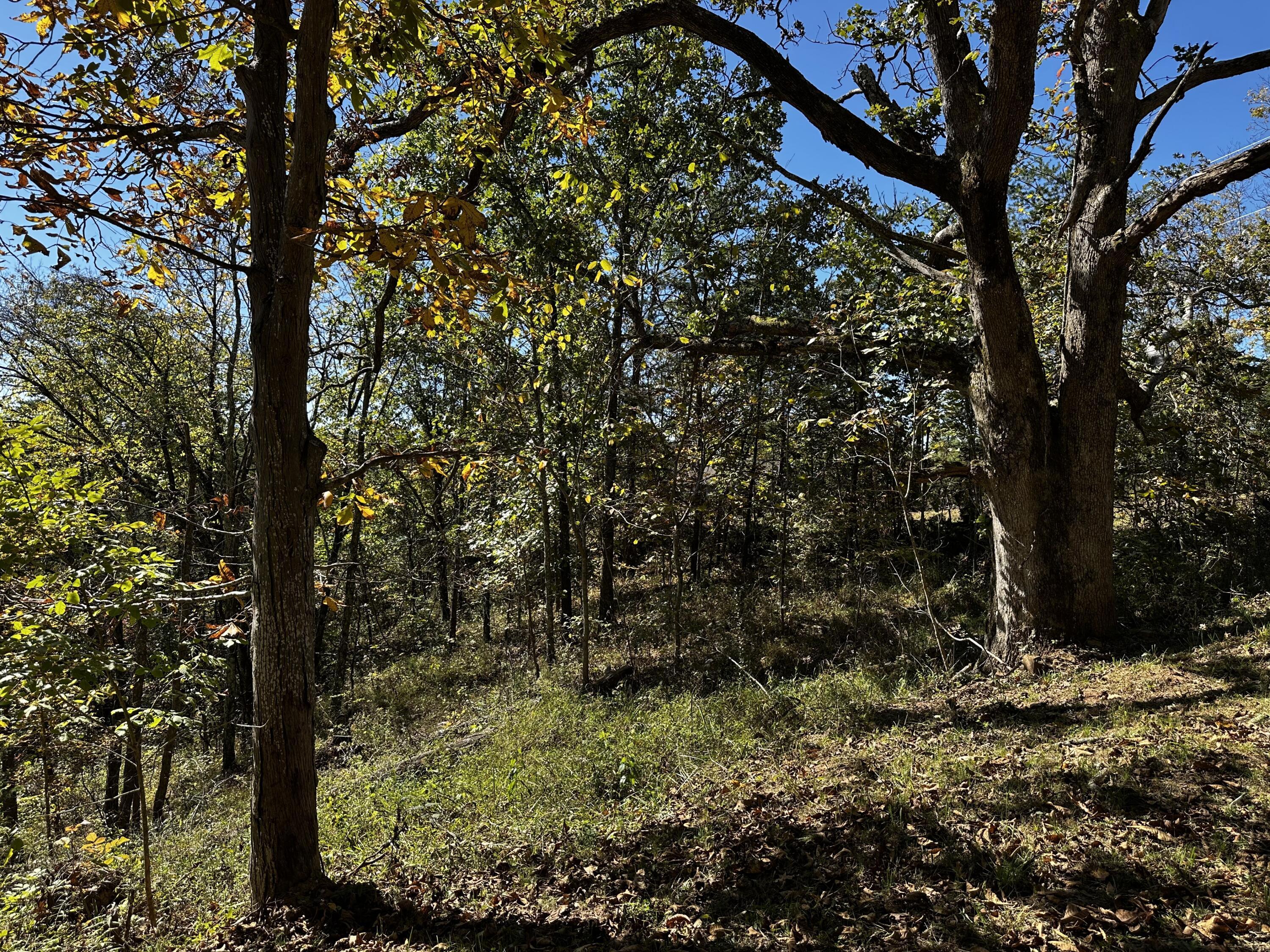865 Hull Road, Unit TRACT 13 WOODS WAYNE FOREST) Patriot, OH 45658 - Photo 45 of 57 20241008_175840251_iOS