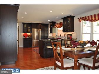 204 Spruce Tree Road Wayne, PA 19087 - Photo 8 of 12 Kitchen