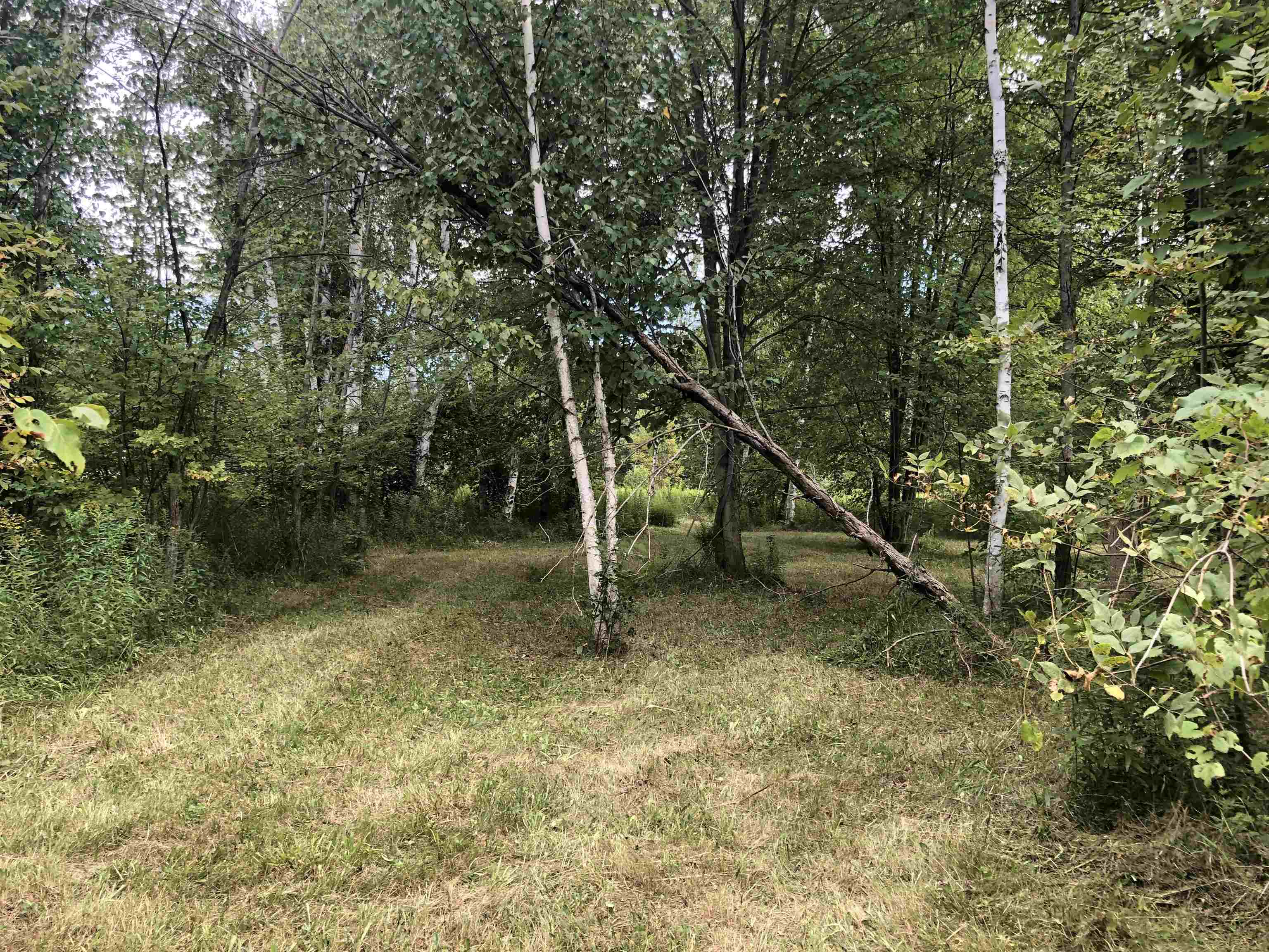 657 South Hockaday Road Gladwin, MI 48624 - Photo 4 of 9
