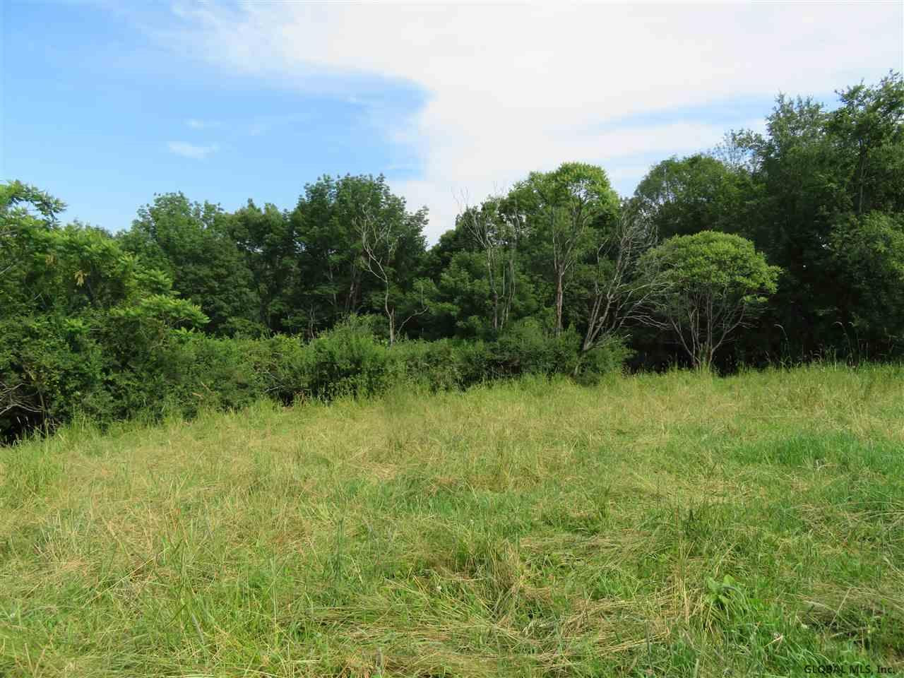 0 Gilchrist Road Argyle, NY 12809 - Photo 3 of 6 Photo 3