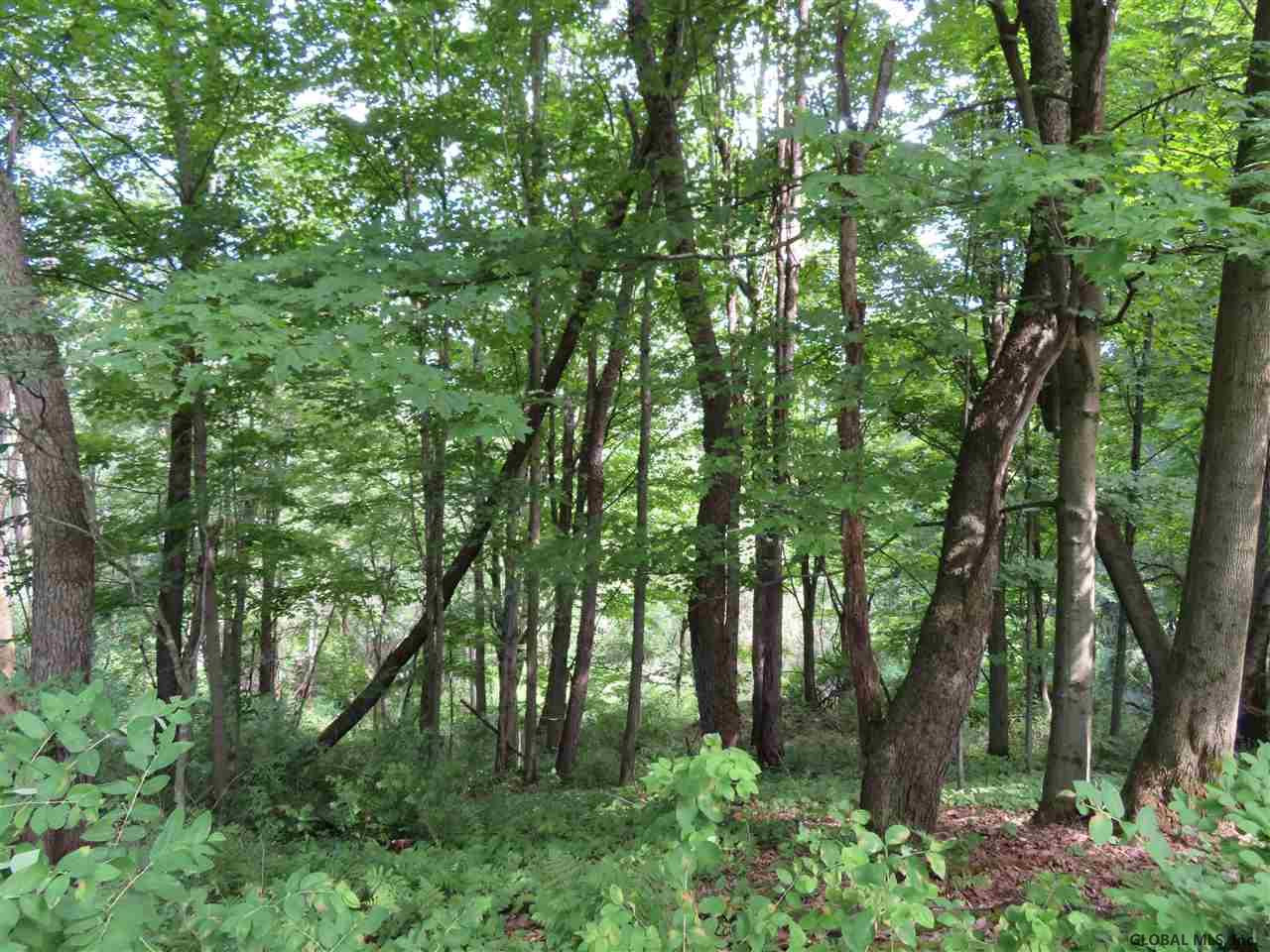 0 Gilchrist Road Argyle, NY 12809 - Photo 5 of 6 Photo 5