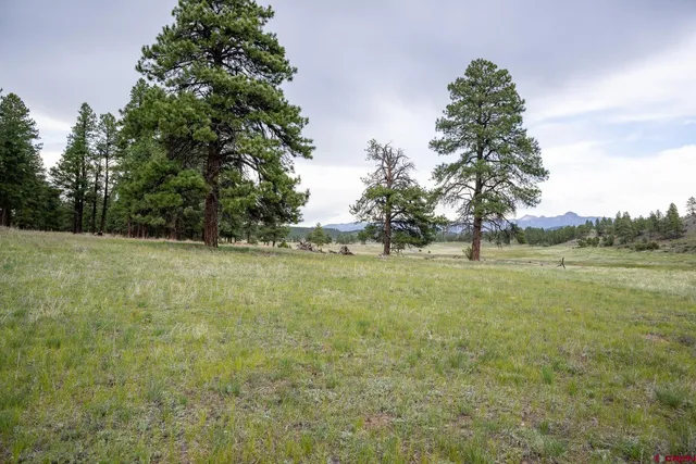 a view of outdoor space with green field and trees