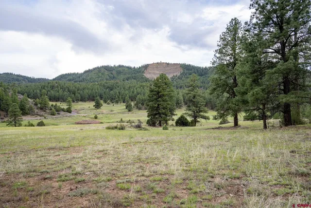 a view of an outdoor space and a yard