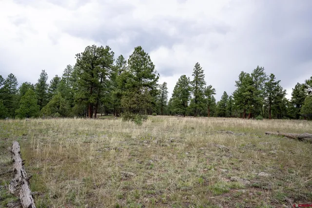 a view of a yard next to a yard
