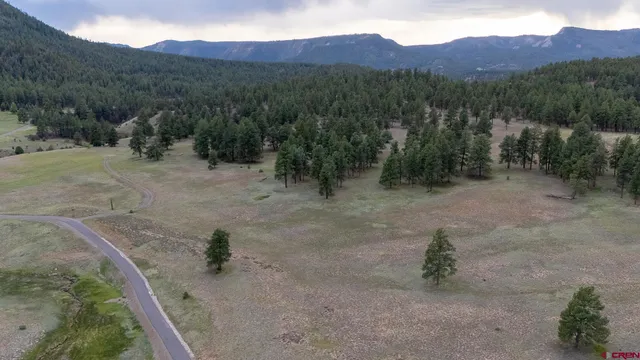 a view of a covered with trees in the background