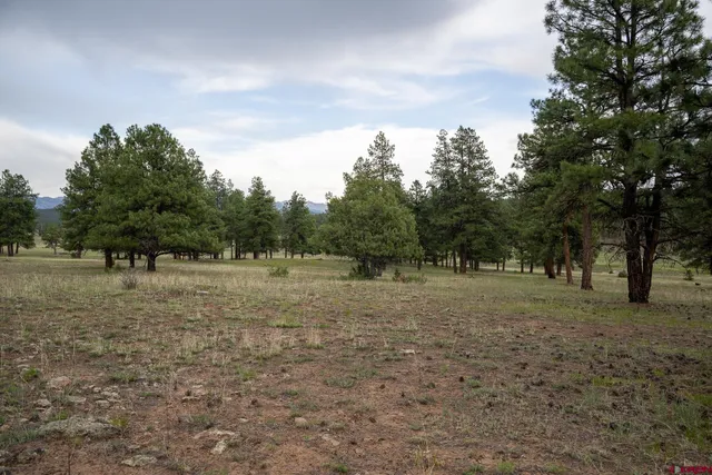 a view of outdoor space with trees