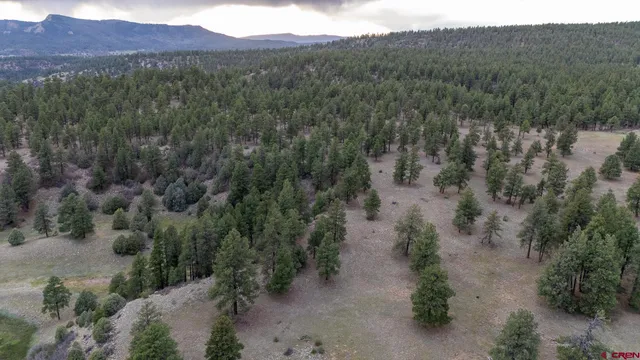 a view of a town with trees in the background