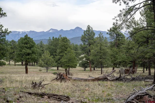 a view of outdoor space with trees