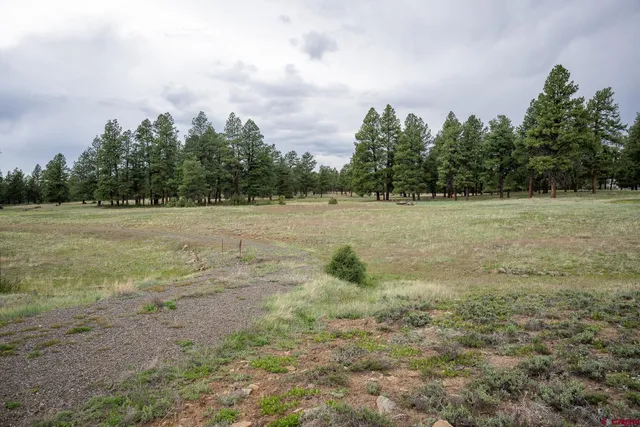 a view of a field with trees in the background