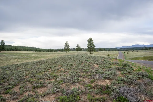 a view of a lake with houses in the back