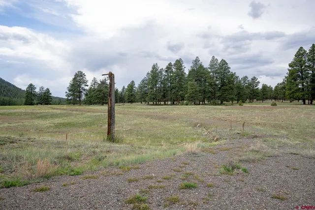 a view of a field with trees in background