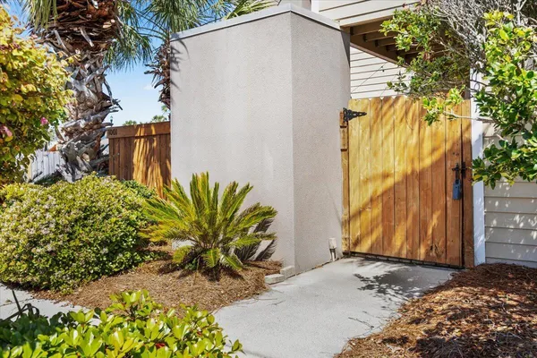 a view of a backyard with plants