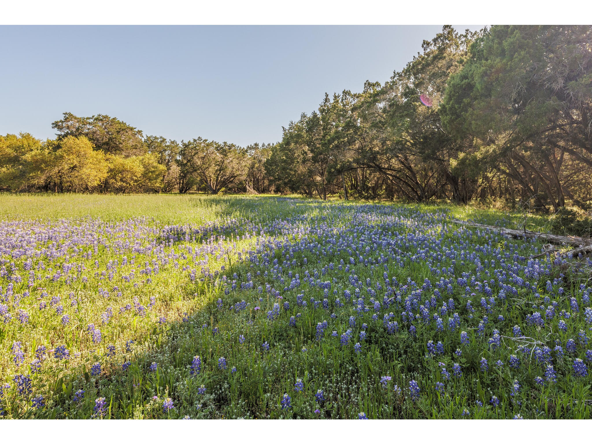 250 Caliche Road Wimberley, TX 78676 - Photo 20 of 40 a view of lake with green space