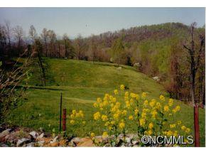 596 Heatherly Heights Road Zirconia, NC 28790 - Photo 1 of 9 Gallery Image 1