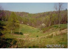 596 Heatherly Heights Road Zirconia, NC 28790 - Photo 4 of 9 Gallery Image 4