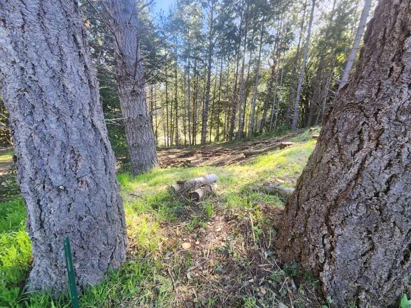 181 Ridge Road Shelter Cove, CA 95589 - Photo 7 of 9